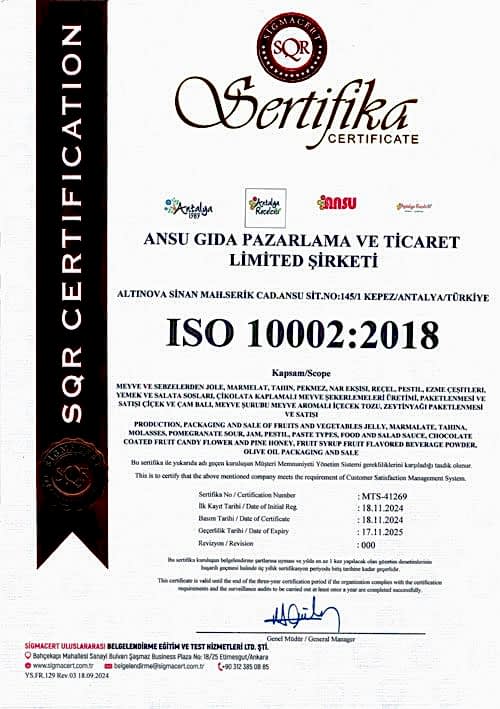 ISO 10002